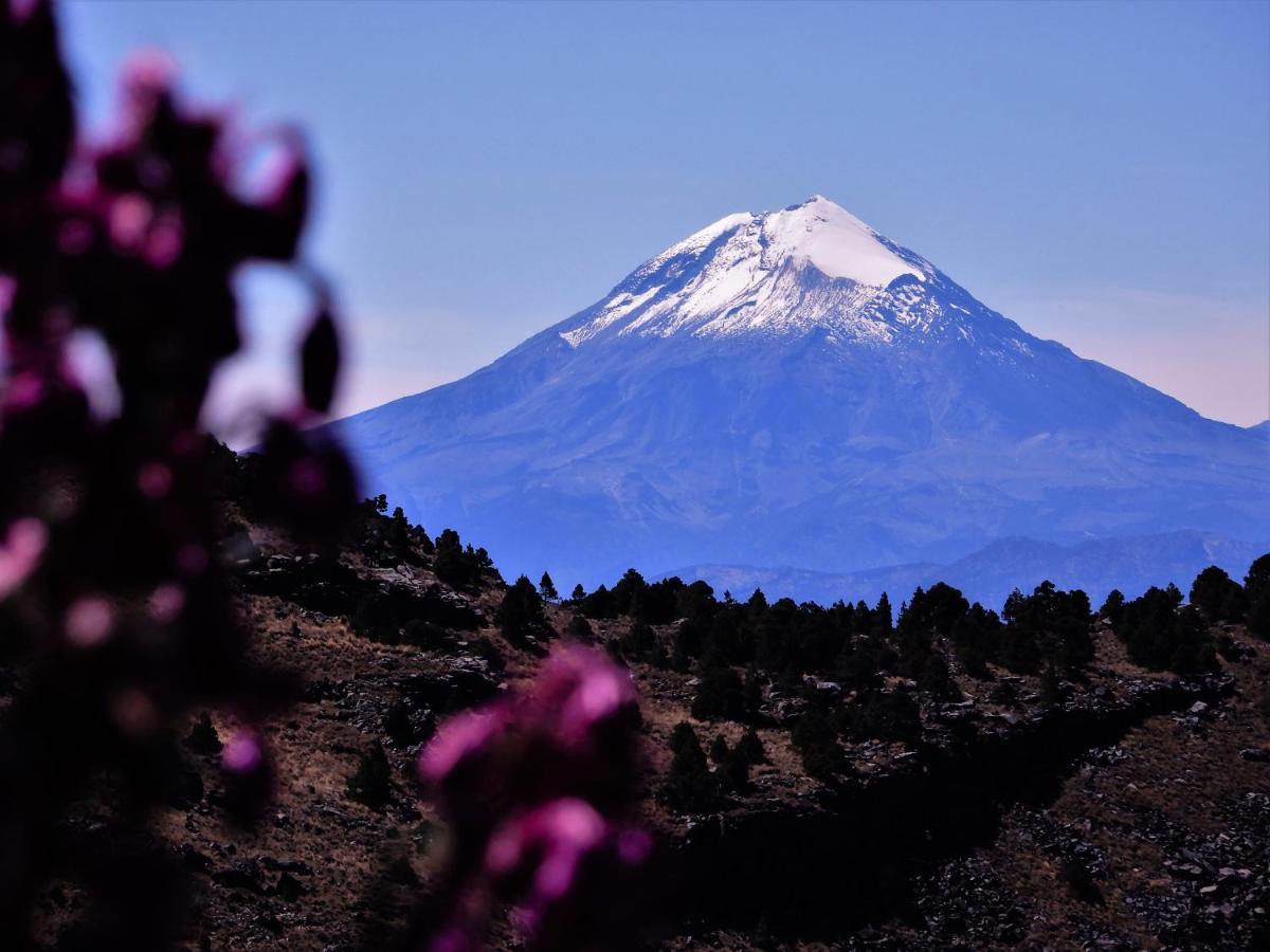 Hostal Azul Puebla Barrio El Alto מראה חיצוני תמונה